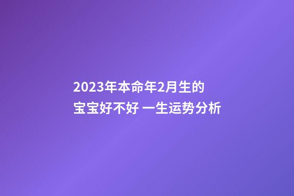 2023年本命年2月生的宝宝好不好 一生运势分析